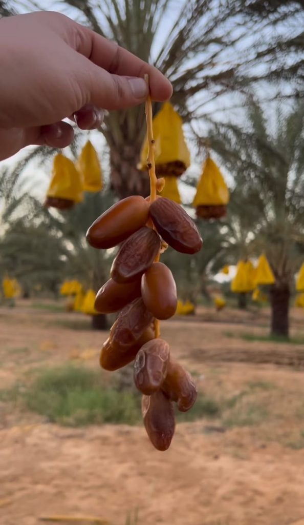 7653699746ebb10c8189bb7576cacaf7